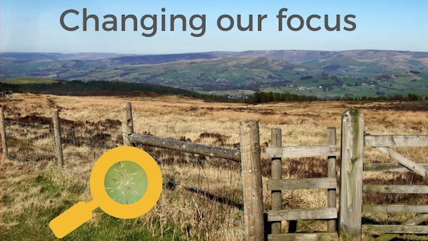 changing focus Mindfulness Exercise, Training your Attention