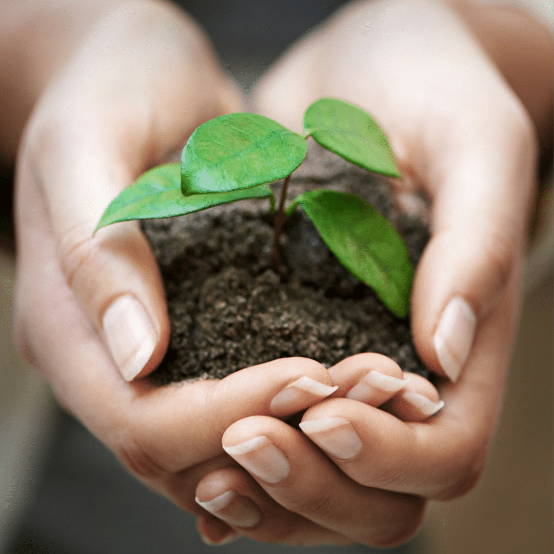 Kapha nurturing