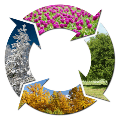 Four Seasons