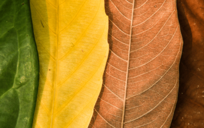 Cycles of Change