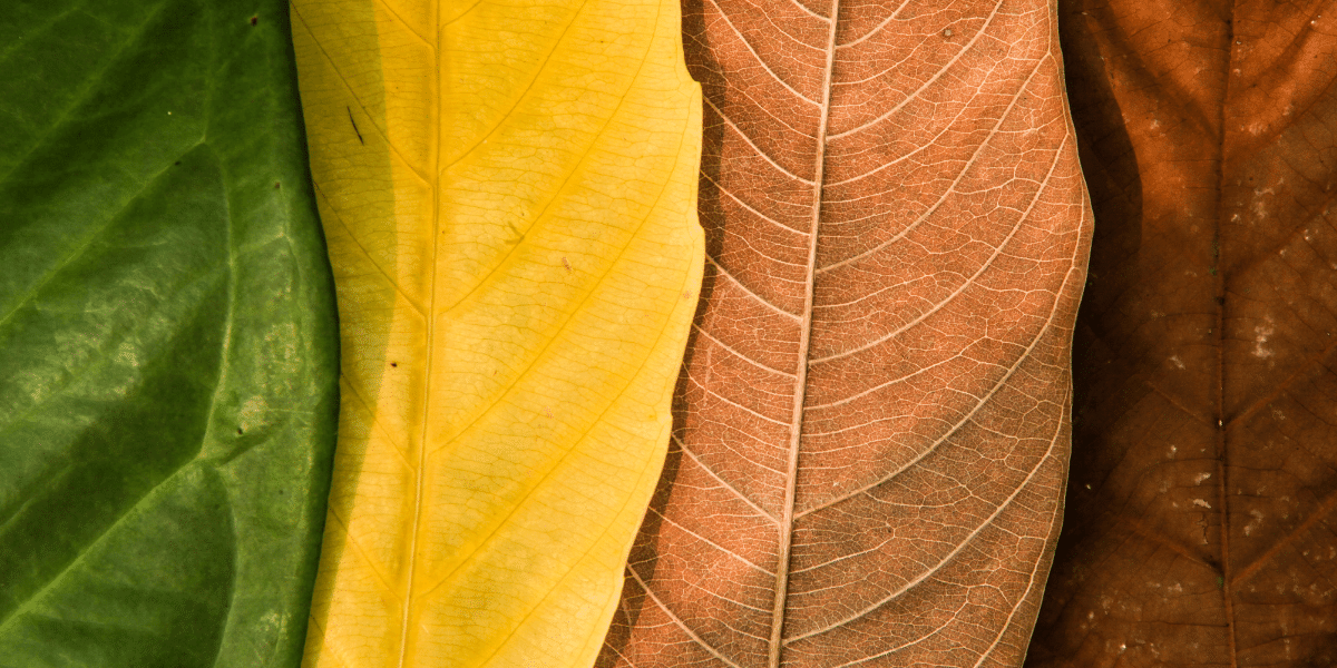 Cycles of change