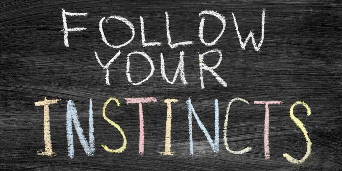 Follow your instincts